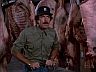 Magnum (Tom Selleck)