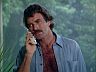Magnum (Tom Selleck)