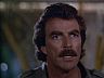 Magnum (Tom Selleck)