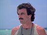 Magnum (Tom Selleck)