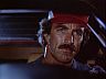 Magnum (Tom Selleck)