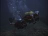 Scuba Diving