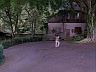 Clarence H. Cooke House Driveway