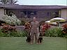 Higgins (John Hillerman) w/ Zeus & Apollo