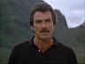 Magnum (Tom Selleck)