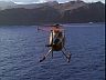 T.C.'s Chopper
