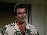 Magnum (Tom Selleck)