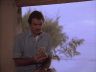 Magnum (Tom Selleck)