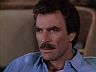 Magnum (Tom Selleck)