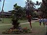 Magnum (Tom Selleck)