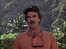 Magnum (Tom Selleck)