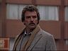 Magnum (Tom Selleck)