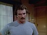 Magnum (Tom Selleck)