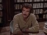 Magnum (Tom Selleck)