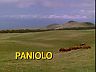 Episode Title