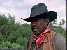 Cattle Rustler (Bob Minor)