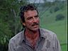 Magnum (Tom Selleck)
