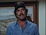 Magnum (Tom Selleck)