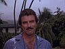 Magnum (Tom Selleck)