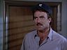 Magnum (Tom Selleck)