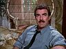 Magnum (Tom Selleck)