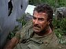 Magnum (Tom Selleck)