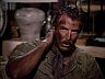 Magnum (Tom Selleck)