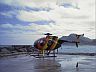 T.C.'s Chopper