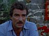 Magnum (Tom Selleck)