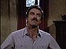 Magnum (Tom Selleck)