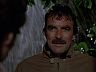 Magnum (Tom Selleck)