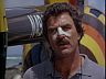 Magnum (Tom Selleck)