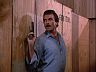 Magnum (Tom Selleck)