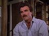 Magnum (Tom Selleck)