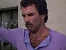 Magnum (Tom Selleck)