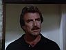 Magnum (Tom Selleck)