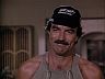 Magnum (Tom Selleck)