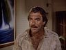 Magnum (Tom Selleck)