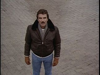 Magnum (Tom Selleck)