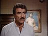 Magnum (Tom Selleck)