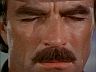 Magnum (Tom Selleck)