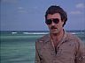 Magnum (Tom Selleck)