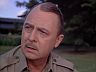 Higgins (John Hillerman)