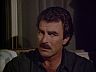 Magnum (Tom Selleck)