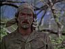 Magnum (Tom Selleck)