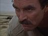 Magnum (Tom Selleck)
