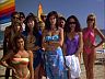 Beach Bar Babes