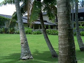 The Anderson Estate - Hawaii Five-0 - You Don't Have to Kill to Get Rich, But It Helps
