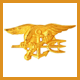 U.S. Navy SEALs Insignia