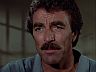 Magnum (Tom Selleck)
